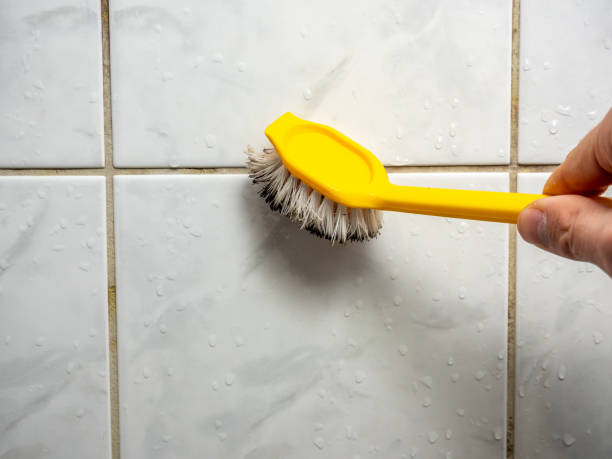 Best Mold Remediation  in Monticello, FL