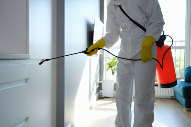 Mold Removal and Inspection in Monticello, FL