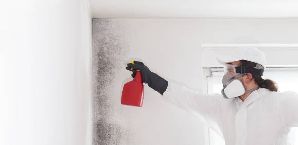 Best Commercial Mold Removal  in Monticello, FL
